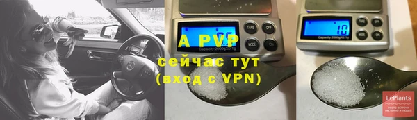 индика Няндома