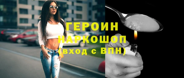 индика Няндома