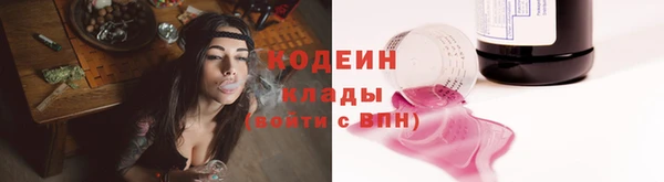 трава Новозыбков