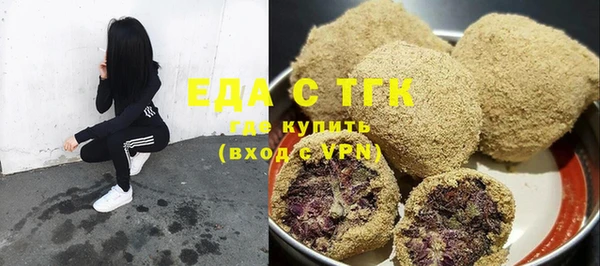 индика Няндома