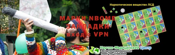 трава Новозыбков