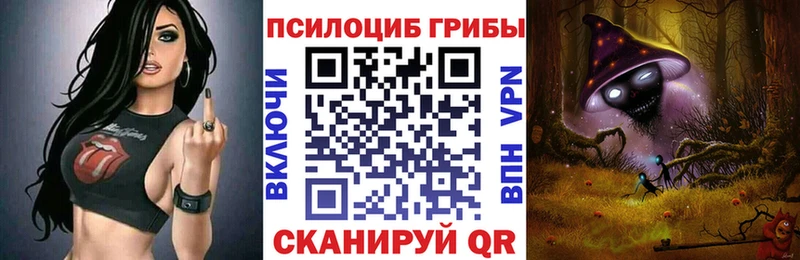 Псилоцибиновые грибы Psilocybe  мориарти официальный сайт  Осташков 